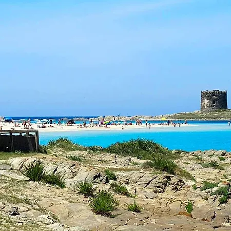 Silvestrino Ξενοδοχείο 3*
