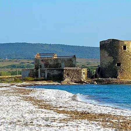Silvestrino Stintino